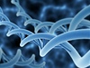 Genom (ilustran foto)