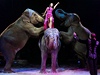 Franco Knie mladí a jeho manelka Linna Knie-Sun cvií se slony v prbhu...