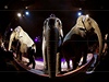 Drezura slon v manéi výcarského cirkusu National-Circus Knie v Rapperswilu.