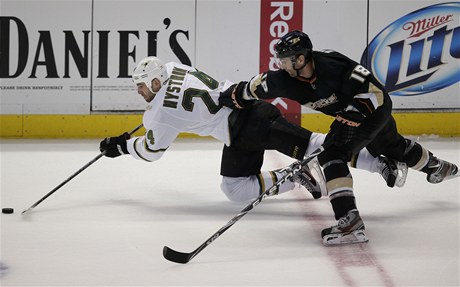 eský hokejista Anaheimu Ducks Radek Dvoák (vpravo) a Eric Nystrom z Dallasu Stars