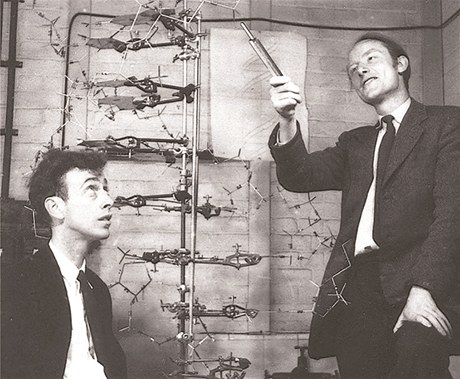 Francis Crick (vpravo) a James D. Watson