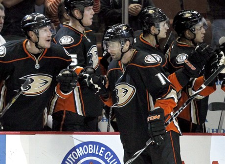 Radek Dvoák zaídil v NHL dvma góly výhru Anaheimu 2:1 nad Edmontonem. 