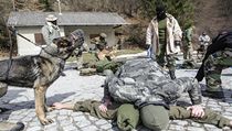 Když třeba po deseti minutách teroru zazní výstřely a kurzistovi s kápí na hlavě sjede po těle k zemi jeho soused, vůbec si neuvědomí, že je na cvičení – a že to jen figurant předstírá pád jiného mrtvého člena výpravy.... | na serveru Lidovky.cz | aktuální zprávy