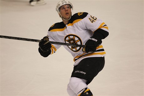 eský hokejista Bostonu Bruins David Krejí