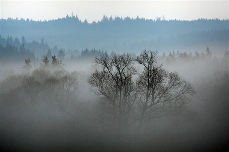 Údolí zahalené mlhou (ilustraní fotografie)