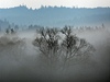 Údolí zahalené mlhou (ilustraní fotografie)