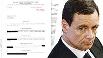 Obžaloba Davida Ratha - grafika. | na serveru Lidovky.cz | aktuální zprávy