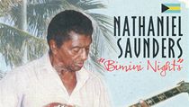 Nathaniel Saunders | na serveru Lidovky.cz | aktuální zprávy