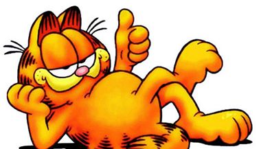 Kocour Garfield