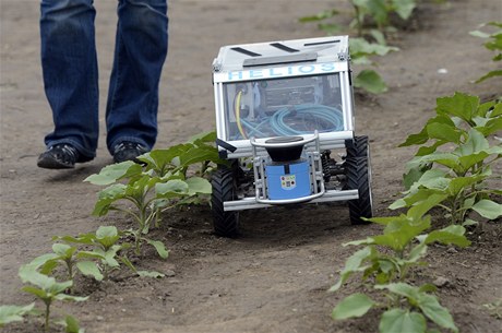 Polní roboti museli co nejrychleji a nejpesnji projet slunenicovým polem. 