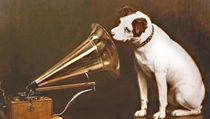 His Master's Voice | na serveru Lidovky.cz | aktuální zprávy