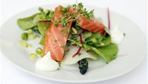 K dalším gurmánským slavnostem patří Food Festival na Špilberku. | na serveru Lidovky.cz | aktuální zprávy