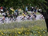 19. etapa Tour de France