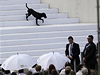 Pes schází po schodech oltáe bhem závrené papeovy me