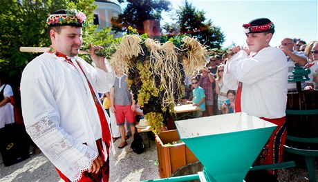 Loni se vinobraní zaalo ubírat mnohem více smrem ke slavnostem vína, slouí k prezentaci vina tamní podoblasti. 