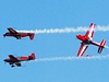 Letecký den CIAF je nejvtí letecký den v eské republice.