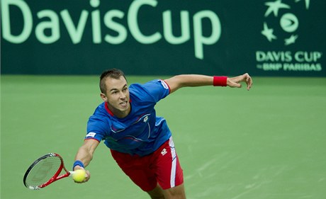 Luká Rosol pi Davis Cupu.