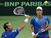 Tomá Berdych a Radek tpánek bhem tyhry pi semifinále Davis Cupu.