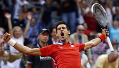 Novak Djokovi pi Davis Cupu.