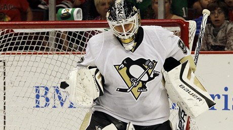 Branká hokejist Pittsburghu Penguins Tomá Vokoun