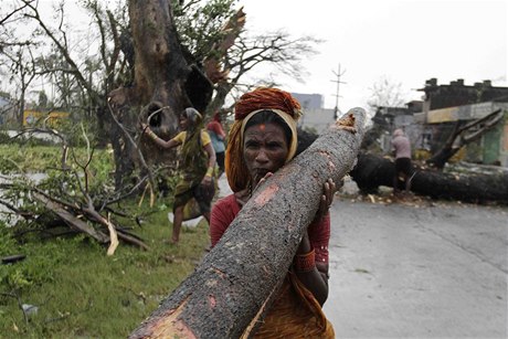 Indická ena odnáí strom z hlavní silnice v Berhampuru