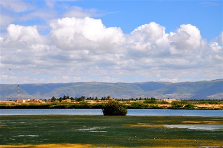 Salalah, Omán.