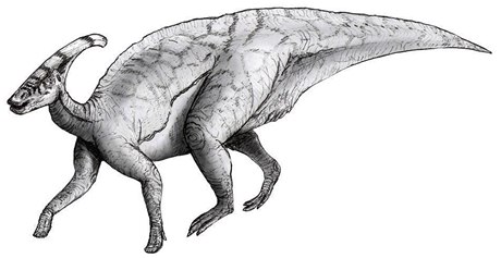 Dinosaurus rodu Parasaurolophus