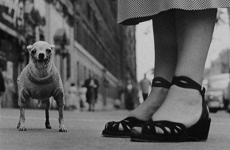  New York, 1946 © Elliott Erwitt / MAGNUM Photos