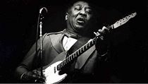 Muddy Waters | na serveru Lidovky.cz | aktuální zprávy