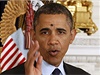 Jeden z nejlepích snímk roku 2013 podle agentury Reuters. Americký prezident Barack Obama s mouchou na ele.