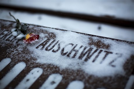 Kvtina k uctní památky obtí holokaustu.
