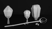 Adela Fejtková: Magic Tools | na serveru Lidovky.cz | aktuální zprávy