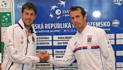 Robin Haase (vlevo) a Radek tpánek.