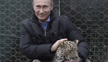 Putin se pomazlil se vzcnm levhartem perskm