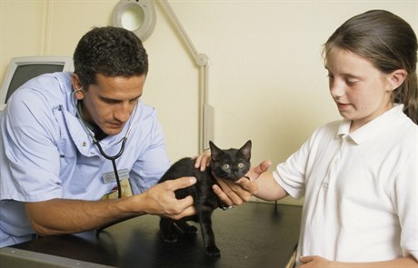 Kdyby se veterinái chovali ke klientm stejn jako nkteí lékai k pacientm, ocitli by se dávno v sociální síti.