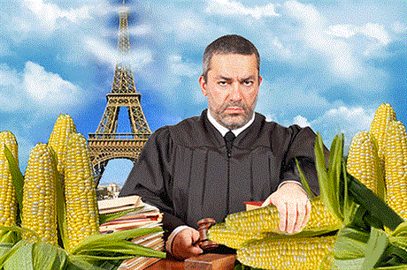 Navzdory verdiktu nejvyího soudu má Francie jasno: geneticky modifikovanou kukuici na svém území nechce.