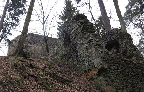 Po hodin cesty jsem skrz lesní porost zahlédli ziceninu hradu Zboený Kostelec.