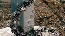 Plíživé roboty sestavené z čipů a sensorů vyvíjí již po několik dekád americká NASA. Využití může být bohaté - od vesmírných misí a špehování až po čištění trubek. Plíživé roboty sestavené z čipů a sensorů vyvíjí již po několik dekád americká NASA. Využití může být bohaté - od vesmírných misí a špehování až po čištění trubek.