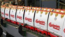 Budvar began exporting to China in 2008 after a trademark dispute was settled Budvar began exporting to China in 2008 after a trademark dispute was settled