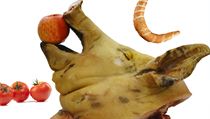 Z pohledu zemědělců by česká potravina měl být výrobek z tuzemských surovin, z pohledu výrobců potravin je jí výrobek, který vyprodukoval podnik působící na území ČR. Z pohledu zemědělců by česká potravina měl být výrobek z tuzemských surovin, z pohledu výrobců potravin je jí výrobek, který vyprodukoval podnik působící na území ČR.