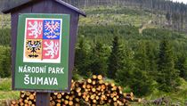 Zasahování lidí do lesních ekosystémů v Národním parku Šumava skončí, až jejich vývoj bude odpovídat dynamice přírodního lesa s plně fungujícími spontánními autoregulačními procesy. Zasahování lidí do lesních ekosystémů v Národním parku Šumava skončí, až jejich vývoj bude odpovídat dynamice přírodního lesa s plně fungujícími spontánními autoregulačními procesy.