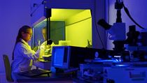 Chytré a ambiciózní vědce by do střediska měly přilákat moderní přístroje i dobré zázemí. CEITEC chystá spuštění mezioborových doktorských programů. Chytré a ambiciózní vědce by do střediska měly přilákat moderní přístroje i dobré zázemí. CEITEC chystá spuštění mezioborových doktorských programů.