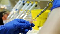 Kromě vědy i výuka - za centrem stojí čtyři brněnské univerzity. Kromě vědy i výuka - za centrem stojí čtyři brněnské univerzity.
