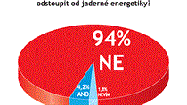 Odpovídalo 166 vrcholných představitelů firem. Odpovídalo 166 vrcholných představitelů firem.