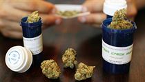 Marihuana určená pro lékařské účely. Federální úřady podnikly za Obamovy vlády dosud stovku zásahů proti institucím, které drogu pacientům poskytují. Marihuana určená pro lékařské účely. Federální úřady podnikly za Obamovy vlády dosud stovku zásahů proti institucím, které drogu pacientům poskytují.