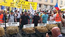 Čtvrteční politickou „stávku“ zorganizovali čeští odborářští bossové proti současné nepříliš efektivní, leč demokraticky legitimní vládě. Prohlédneme-li si však názvy kritizovaných selhání, je zjevné, že jde o maléry vzniklé za působení bývalých vlád. Vě Čtvrteční politickou „stávku“ zorganizovali čeští odborářští bossové proti současné nepříliš efektivní, leč demokraticky legitimní vládě. Prohlédneme-li si však názvy kritizovaných selhání, je zjevné, že jde o maléry vzniklé za působení bývalých vlád. Vě