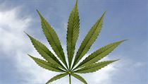 Possession of small amounts of drugs are punishable by a fine that can now be paid on the spot, similar to fines for using public transportation without a ticket Possession of small amounts of drugs are punishable by a fine that can now be paid on the spot, similar to fines for using public transportation without a ticket