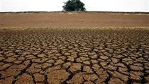 Nejnápadnějším projevem globálního klimatického rozvratu jsou vlny veder, sucha, požárů, kůrovcových kalamit, a naopak extrémních dešťových či sněhových srážek i silných větrů. Nejnápadnějším projevem globálního klimatického rozvratu jsou vlny veder, sucha, požárů, kůrovcových kalamit, a naopak extrémních dešťových či sněhových srážek i silných větrů.