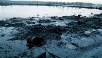 The site of a future forest — in a couple generations, maybe. Under Geosan Group, the Ostramo lagoon in Northern Moravia remains a toxic mess. The site of a future forest — in a couple generations, maybe. Under Geosan Group, the Ostramo lagoon in Northern Moravia remains a toxic mess.