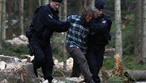 Policie se nemazlí s demonstranty, Stráský s lesem. Zelená Šumava v jeho režii budou pařezy a pařezy na troskách národního parku. Policie se nemazlí s demonstranty, Stráský s lesem. Zelená Šumava v jeho režii budou pařezy a pařezy na troskách národního parku.